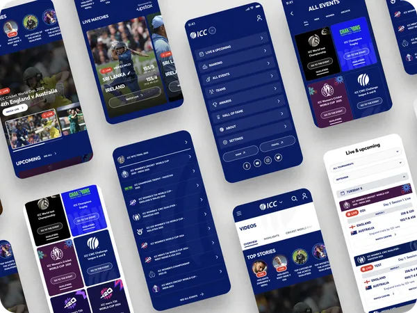 Image of ICC project, showing the ICC website